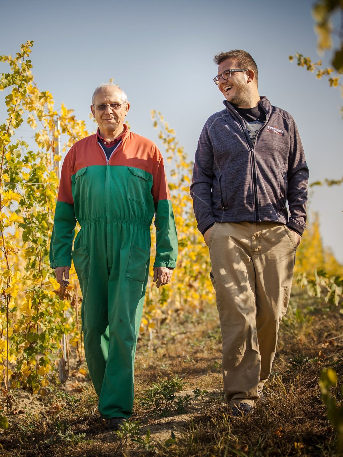 Vineyard by vineyard