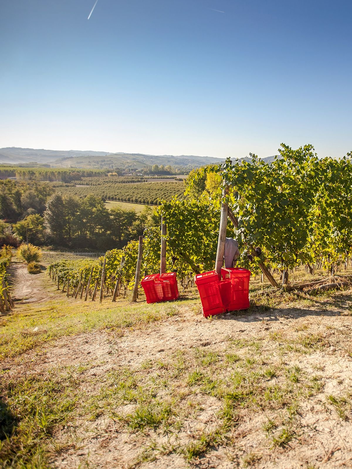 Four villages, a single landscape