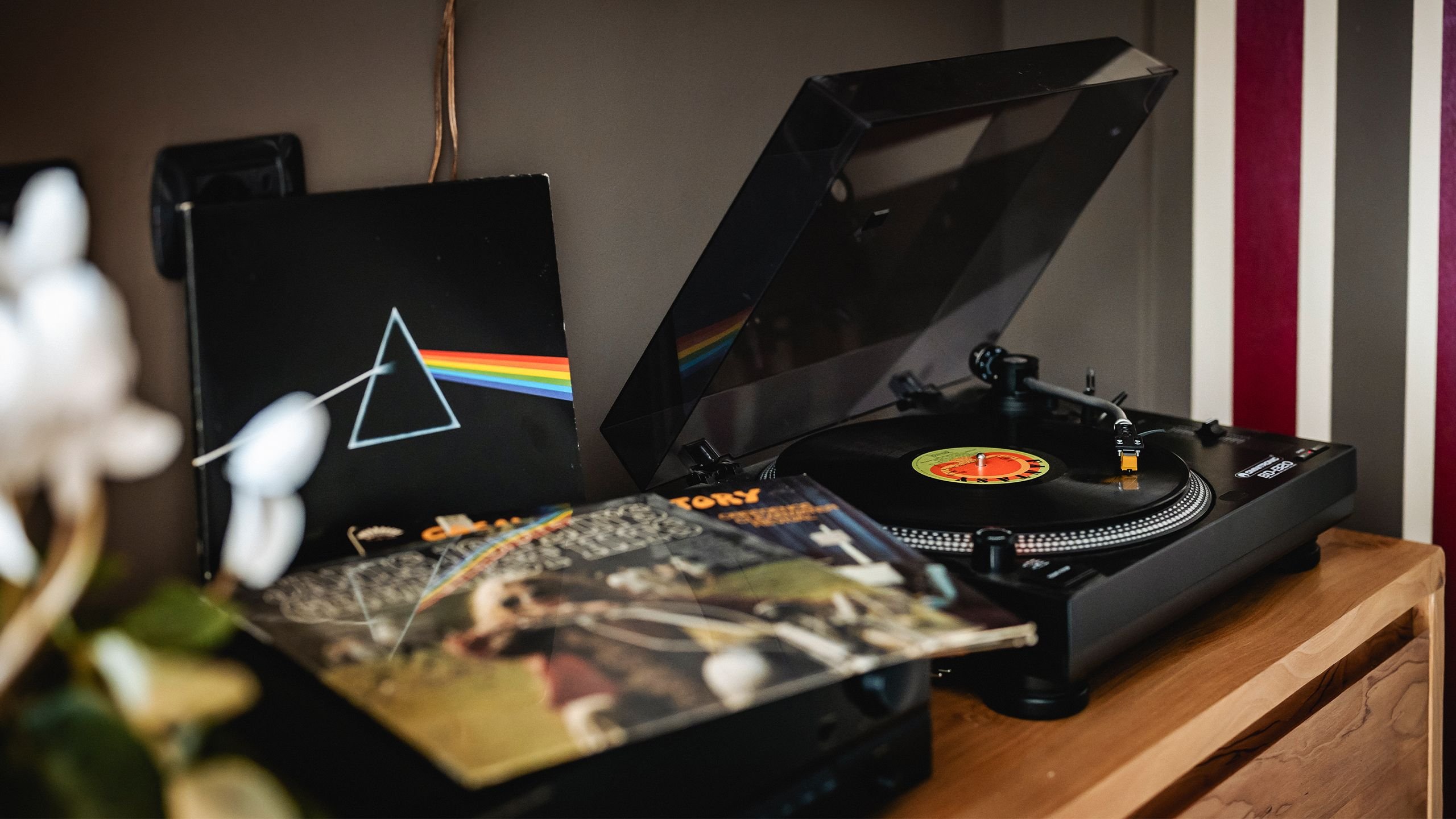 view : OM : History - Visual