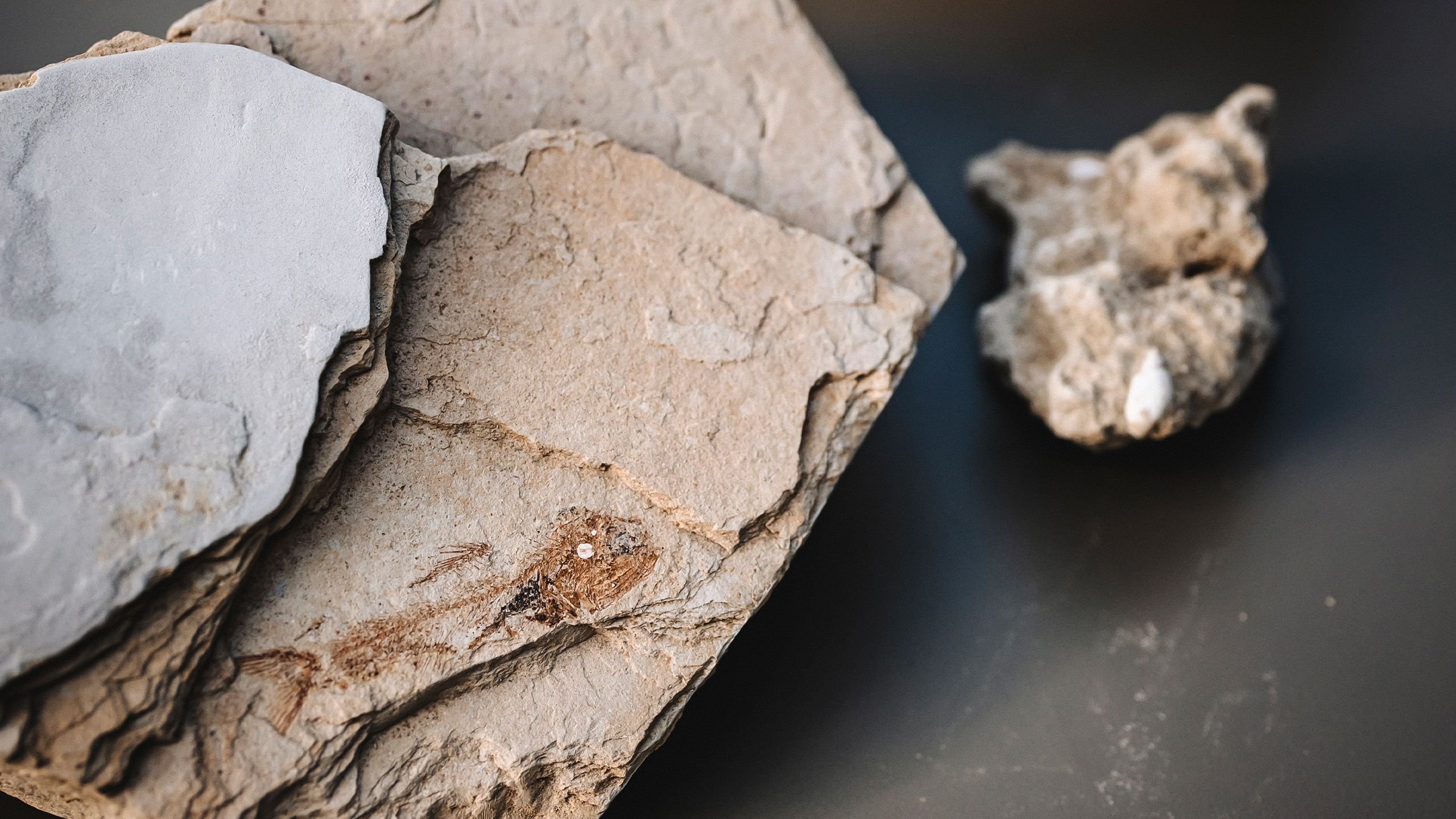 view : OM : Philosophy - Visual