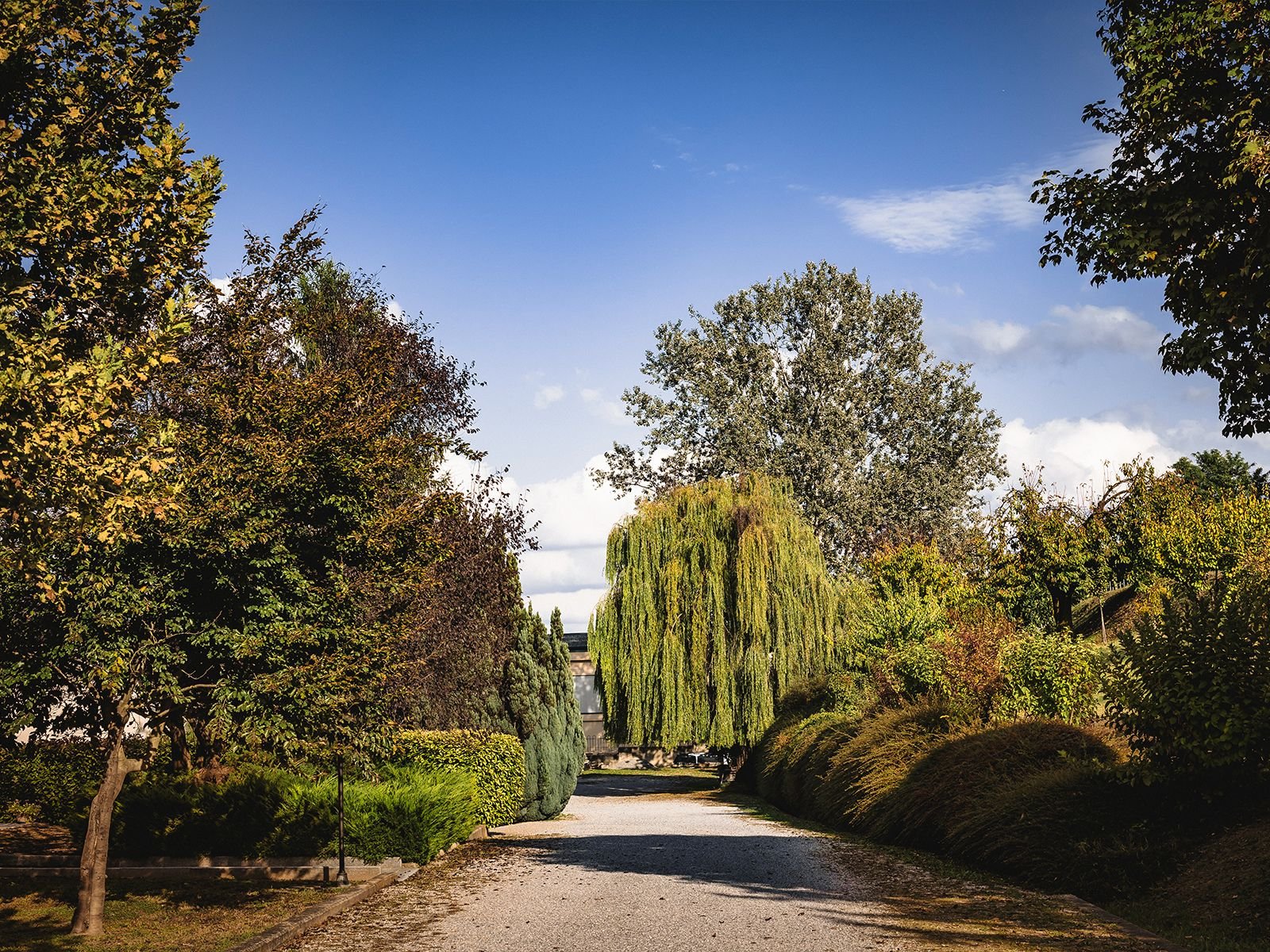 view : OM : Contatti - Slide