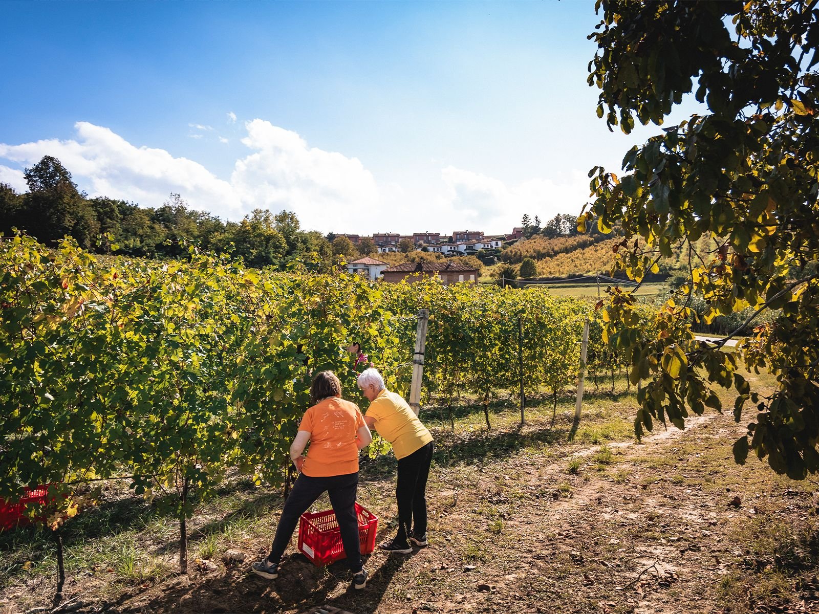 Landing - S04 - Territory